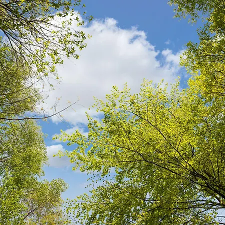 The Originals City, Eden, Rouen Nord