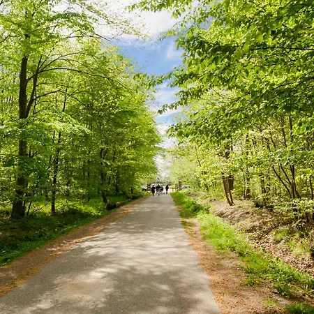 The Originals City, Eden, Rouen Nord