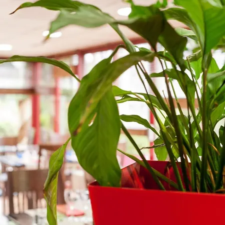 The Originals City, Eden, Rouen Nord 3* Bois-Guillaume