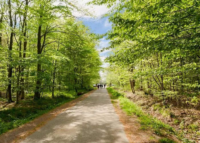 The Originals City, Eden, Rouen Nord