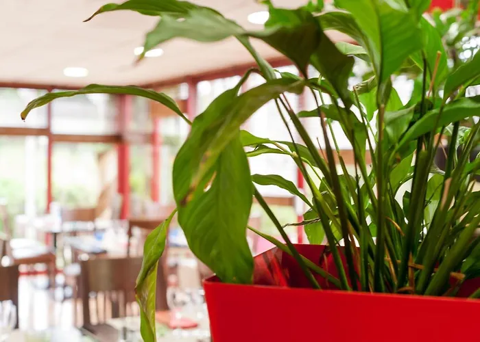 The Originals City, Eden, Rouen Nord 3* Bois-Guillaume